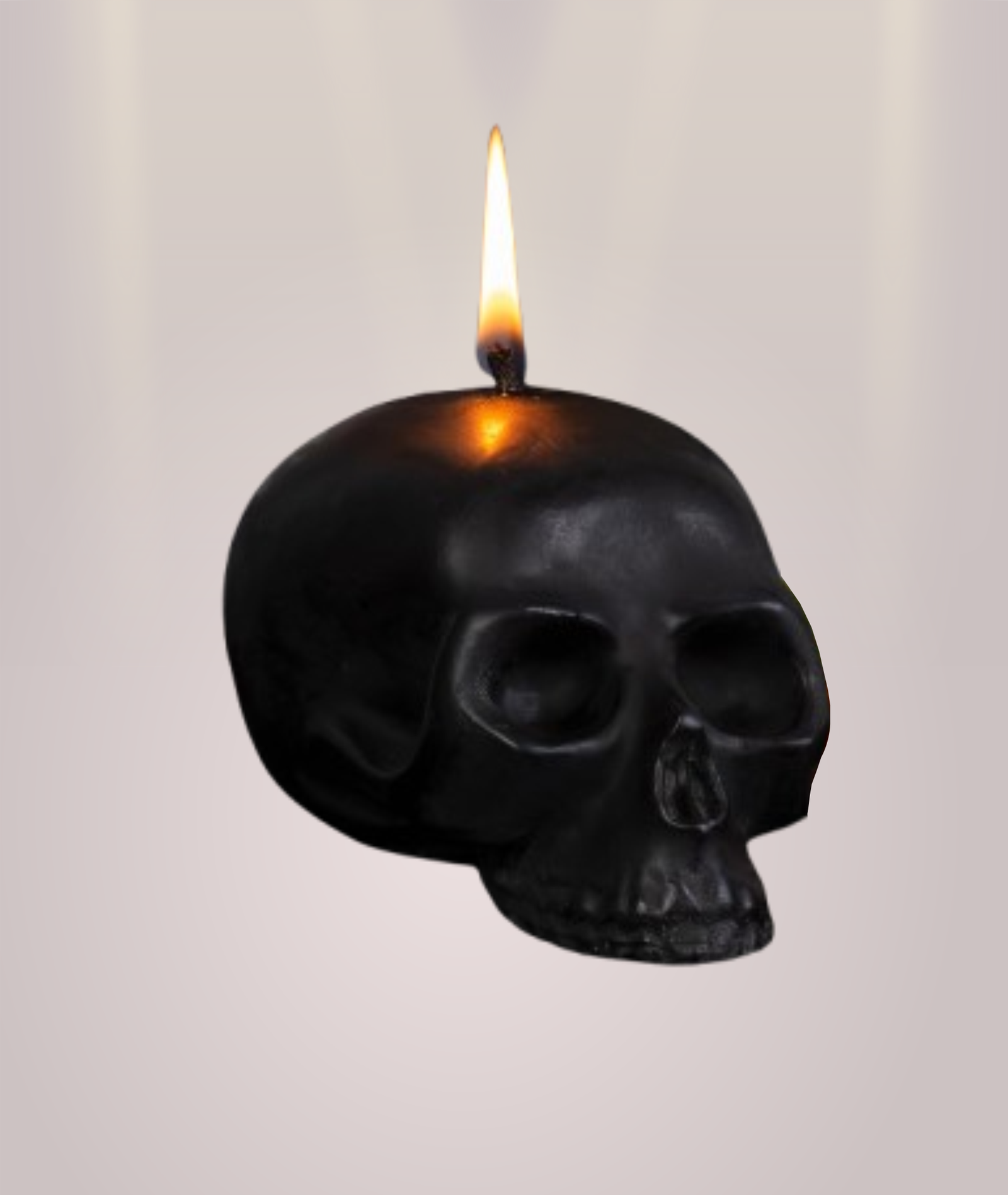 Skull Candle 6.6 inches